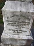image of grave number 220260